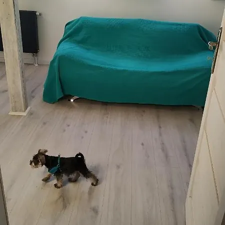 Apartamento Witkacego Słupsk